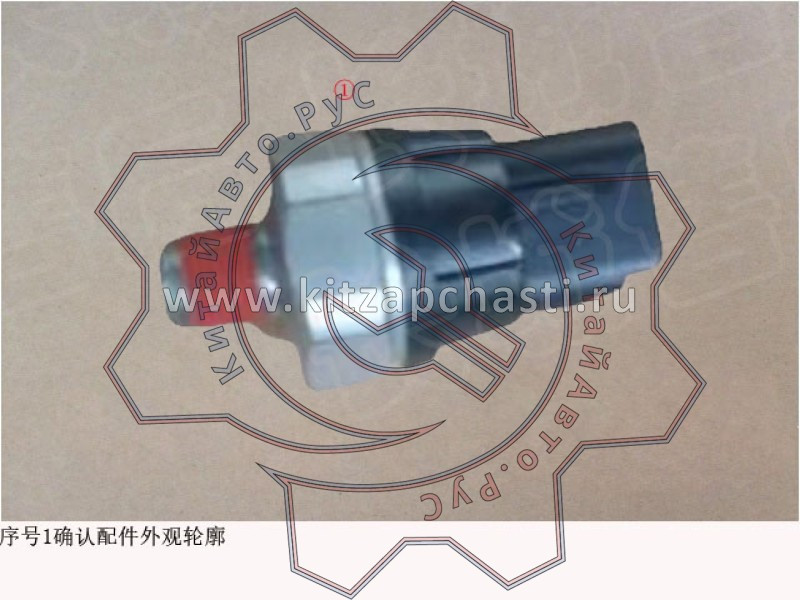 Датчик давления масла HAVAL Jolion 2024 1002810XEB05