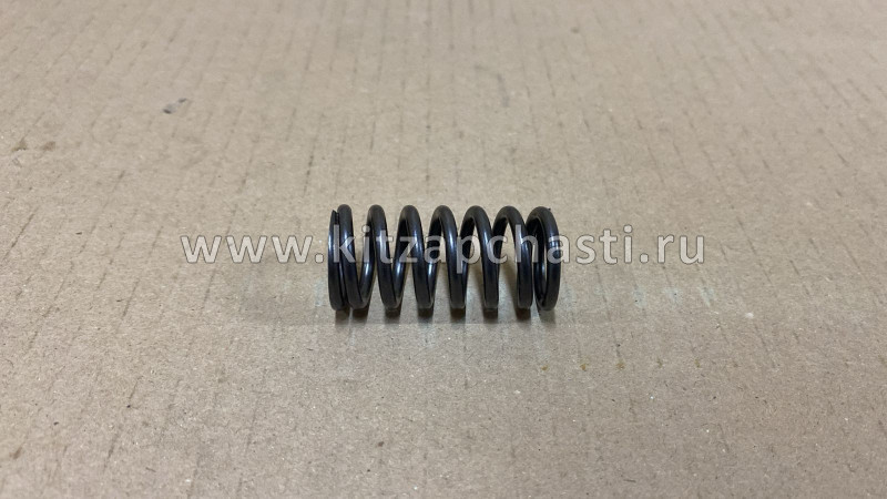 ПРУЖИНА КЛАПАНА HAVAL H6 1007014-EG01