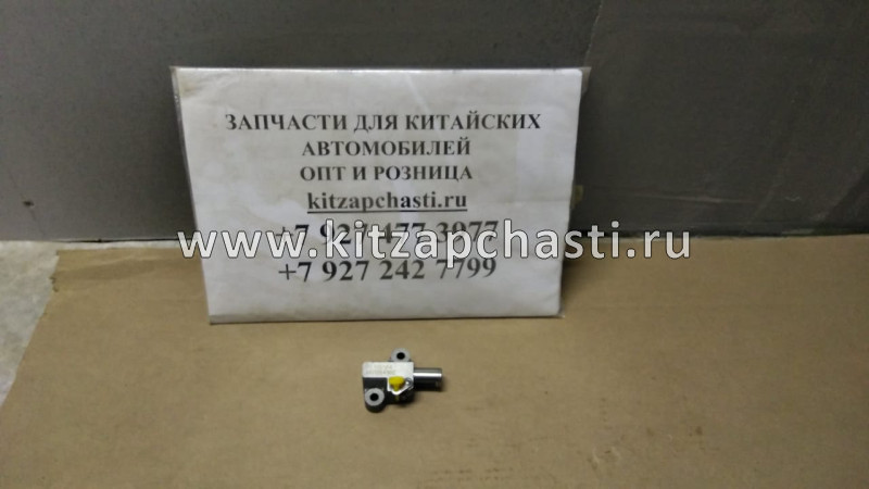 Болт башмака натяжителя цепи ГРМ МОСКВИЧ 6 1021013GG010
