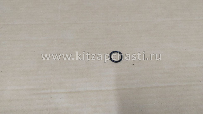Прокладка водяного насоса (помпы) Geely Emgrand X7 NL4 1066007300
