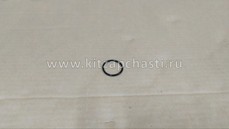 Прокладка водяного насоса (помпы) Geely Emgrand X7 NL4 1066007400