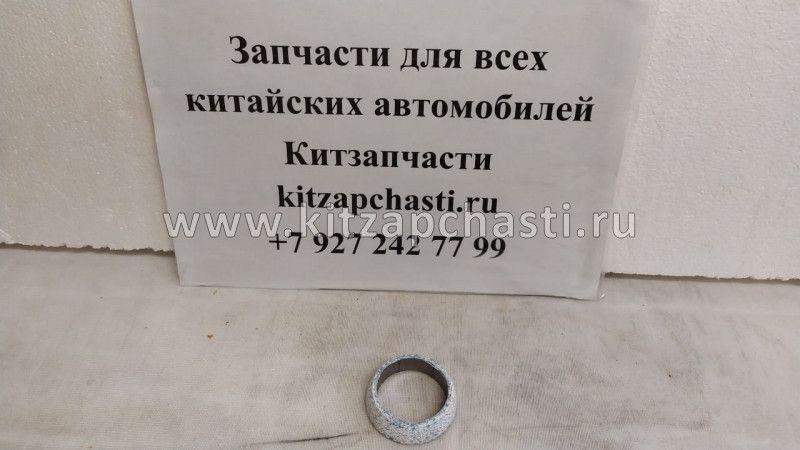 Кольцо глушителя HAVAL Jolion 2024 1201012XKZ16A