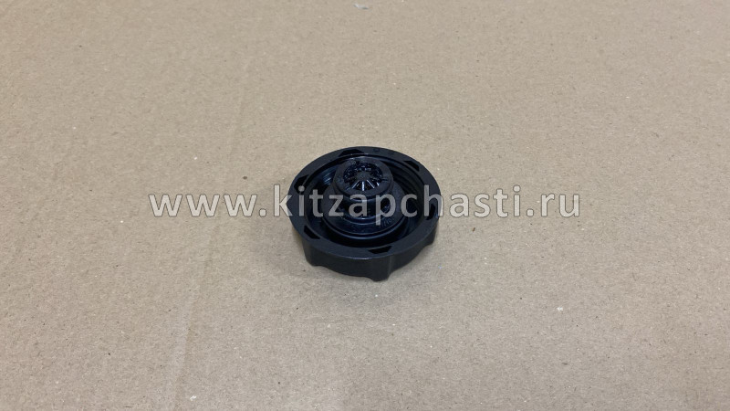 Крышка расширительного бачка HAVAL DARGO 1311110XKU34A