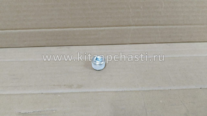 ПРОБКА РАЗДАТОЧНОЙ КОРОБКИ HAVAL H5 19-00-052-008