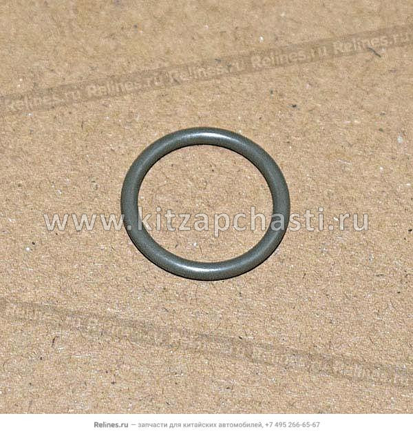 Уплотнительное кольцо -расширительного клапана TENET T7 301000823AA