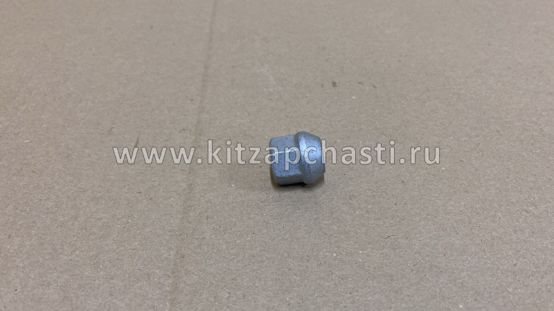 Гайка крепления колеса Tank 300 3101014XKZ1DA