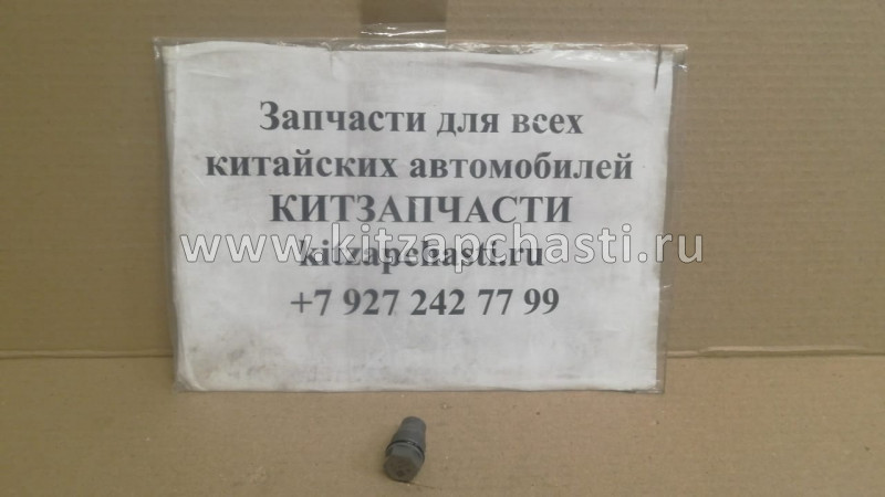 Клапан редукционный сброса давления топлива (рампы) NEXT,Бизнес Cummins ISF 2.8 3974093