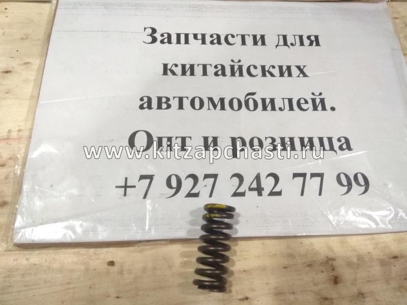 ПРУЖИНА КЛАПАНА ДВС Chery Tiggo 2 481H-1007014BA