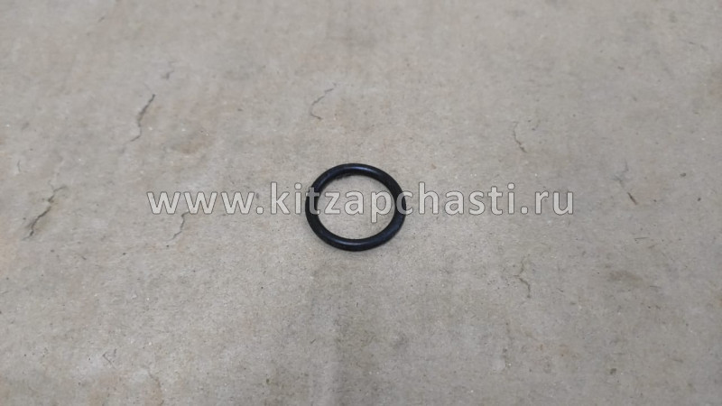 Кольцо уплотнительное пробки маляного картера NEXT,Бизнес Cummins ISF 2.8 4995185