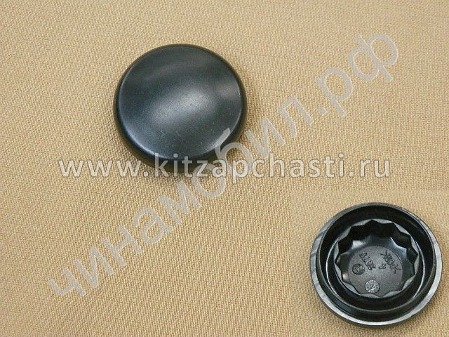 Заглушка рычага стеклоочистителя TANK 400 5205133XKU00A