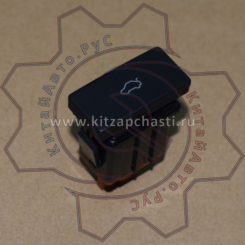 Кнопка открывания двери задка багажника EXEED TXL 808000591AA