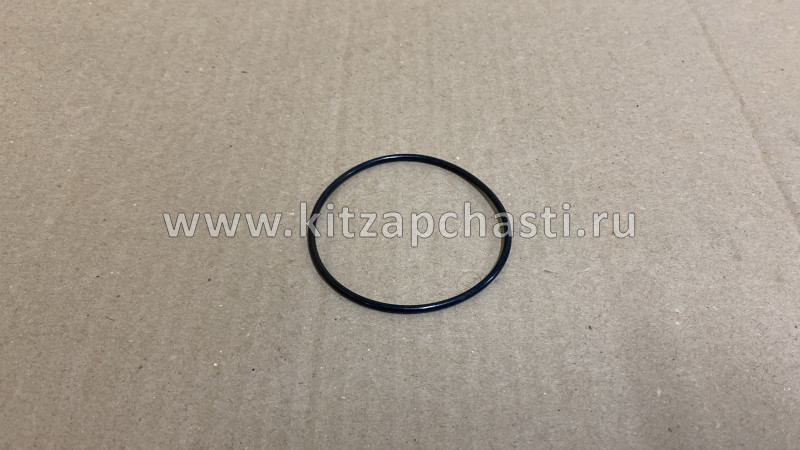 Уплотнительное кольцо сервопривода Jaecoo J8 9009084561
