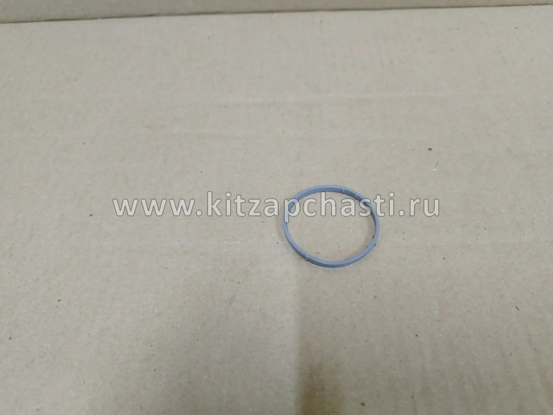 КОЛЬЦО УПЛОТНИТЕЛЬНОЕ НИЖНЕЕ ТЕРМОСТАТА CH  Xcite X-Cross 7  E4G16-1303131