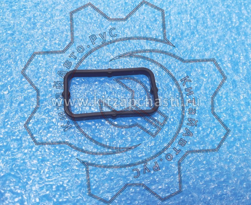 Прокладка OMODA S5 GT E4G161012027