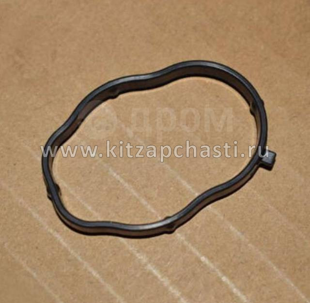 Уплотнительное кольцо водяного патрубка EXEED VX FL F3J121306112