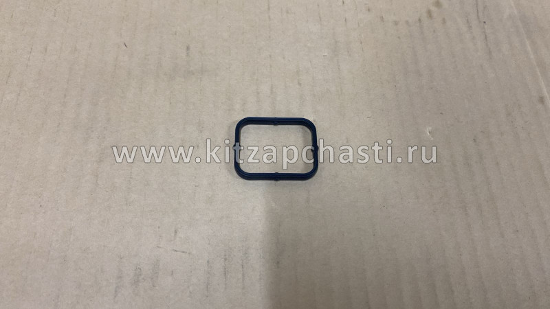 Прокладка водяного насоса №1 Jetour X70 Plus  F4J16-1307113