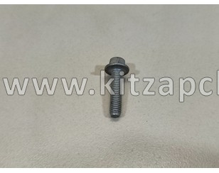 Болт направляющей цепи Changan Lamore  H160071800