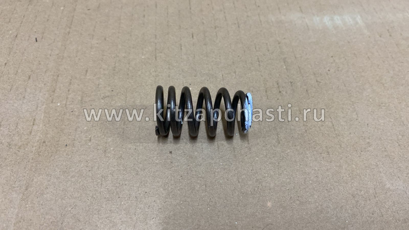 Пружина клапана Changan CS35 Plus NEW NE14T004-0370