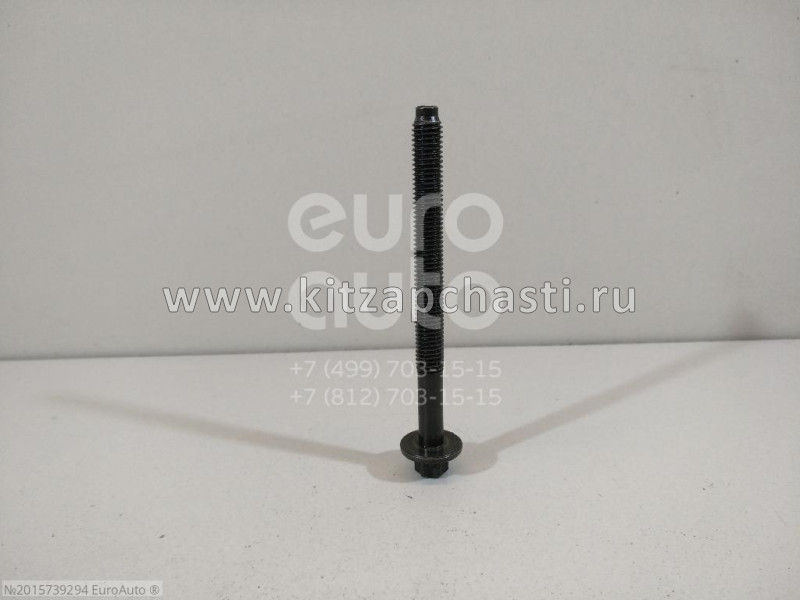 Болт ГБЦ Changan Eado Plus  NE14T0040291AA