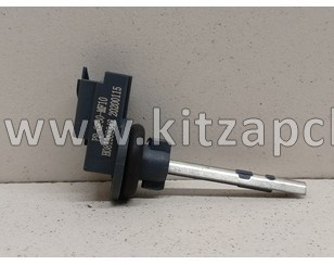 Датчик температуры окружающего воздуха EXEED VX FL PPGF30MF10